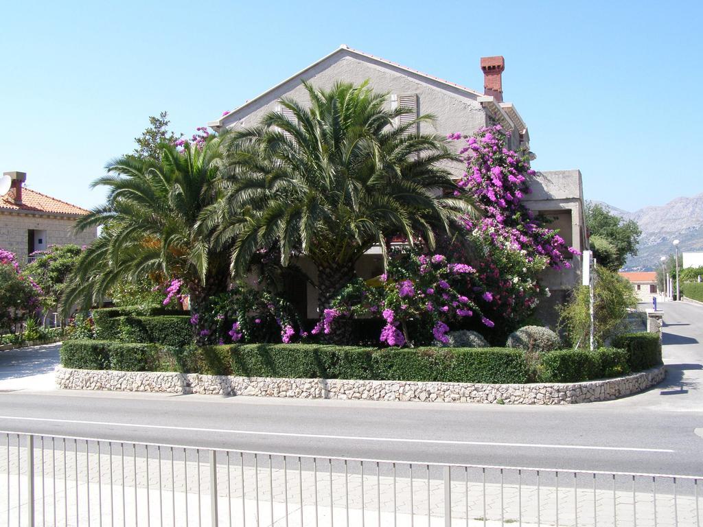 Guesthouse Klecak Cavtat Exterior photo